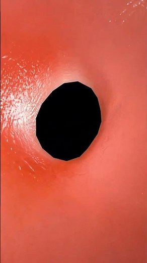 Travel Pathway: Aorta → Left Ventricle → Right Atrium → Right Ventricle → Aorta ♻️🩺🫀