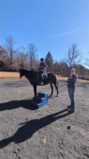 Callie Saddle Fitting Video #12 Riding Evaluation - Flocking Adjustments