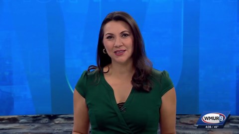 Dog restraints proposal in Dover