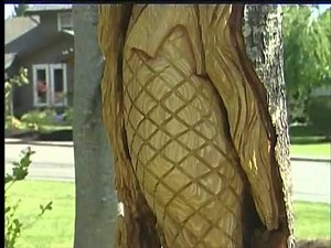 Chainsaw Artists Transform Tree Into Mermaid
