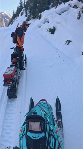 47K views · 628 reactions | Low elevation tree riding always gets me fired up for the day 落The 146 was feeling a little short for this #fblifestyle | Candrett | Facebook