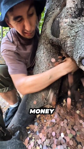 Money Grows On Trees