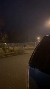 ” Christmas color firework shell | Blue Sky