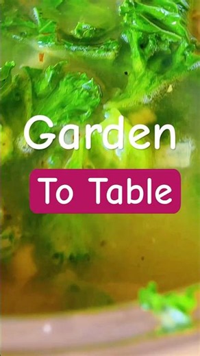 Garden To Table | Picking fresh kale & making yummy Tuscan Soup.