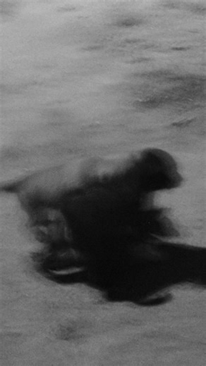 NITESH on Instagram: "and suddenly you find that one person who softens everything the one who becomes your safe place your lover, your best friend, your calm in every storm* with them the world doesn’t feel so heavy anymore you build your own space together a space where you can breathe, heal, thrive, laugh at stupid things, talk about everything and be fully, unapologetically yourselves! no judgement, no pretending just honesty, peace and a love that feels like coming home* People reached out 