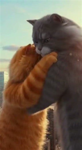 Two giant cats are fighting in the city