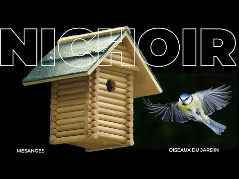 Make an original birdhouse
