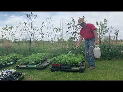 SprayNGrow nutrients