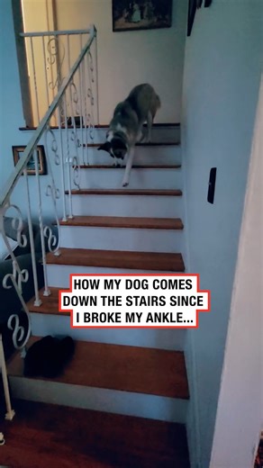 'I see we aren't trusting the stairs anymore' 😂 | LADbible