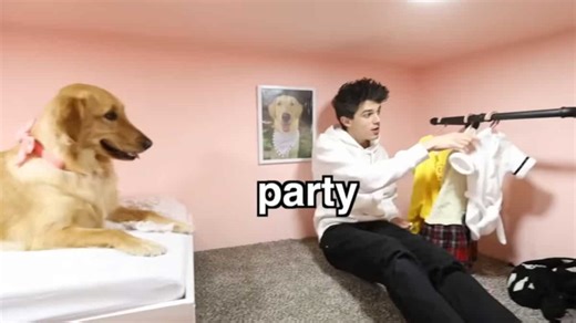 WATCH | Pet dog gets lucky as Youtuber Brent Rivera gifts $20,000 luxury house