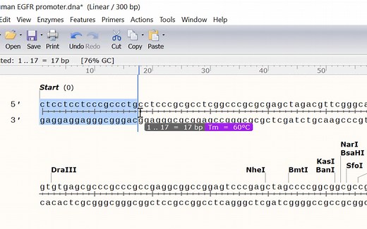 「SnapGene」用SnapGene设计PCR引物 Creating PCR Primers In SnapGene