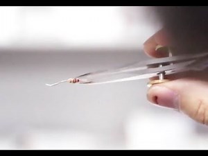 Scientists Use Sound to Levitate Objects in 3D