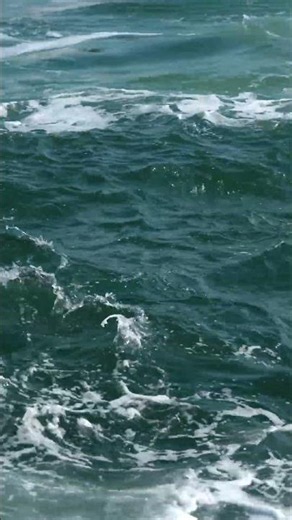 datamosh // ocean waves // 2026.06.25