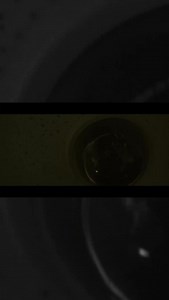 15K views · 2.5K reactions | Alter Bridge on Reels | Facebook