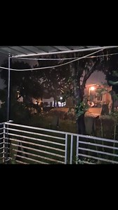 ANg Gamefowls on Reels