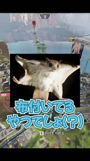 モモンガとムササビの違いを解説