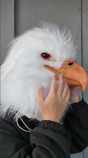 Costume Inspiration: The Fun Experience of Transforming into an Eagle [PATYGR]