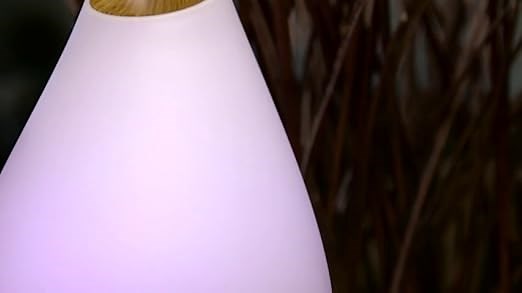 1f3055a6715a45cc9c95904f4a801c12