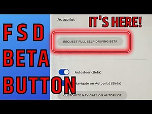 First look at the FSD beta Button!