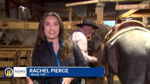 Pittsburgh Mounted Patrol training at ranch in Moon Township