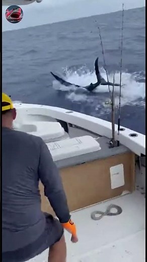 They Weren't Ready for This Marlin Jump 😱 #shorts #fishing #viral