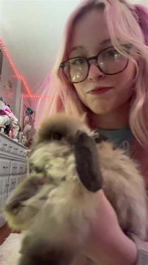 Fluffy Bunny Resembles a Charming Cow
