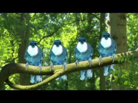 In The Night Garden Theme With BlueBirds