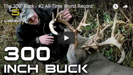 The 300″ Buck – #2 All-Time World Record | Bowhunting.Net