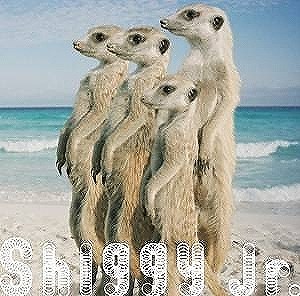 6月もラジオ"パワープレイ"を大特集！！ みなさん「シンリズム」の次は「Shiggy Jr.」の「サマータイムラブ」で間違いないですよ！？ | 歌詞検索サイト【UtaTen】ふりがな付