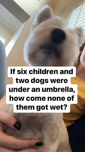 Riddle time #puzzle #riddle | The Puzzle Couple