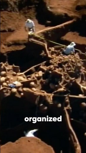 Ants Built a Massive Underground Civilization 🐜​🏢​