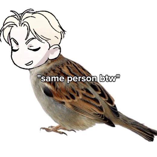 Exploring Yaoi in Manhwa: Code Name Anastasia