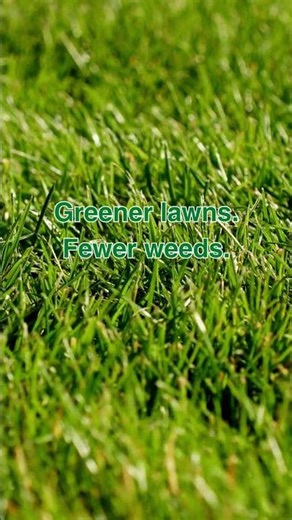 Spring lawns start NOW!