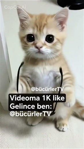 #keşfetteyiz #keşfetbeniöneçıkar #ytdayibenionecikarnolur #keşfet