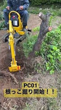 PC01で根っこ掘り開始！！ Start digging roots with the PC01!! #PC01 #ユンボ #コマツ #世界最小 #komatsu #world's smallest