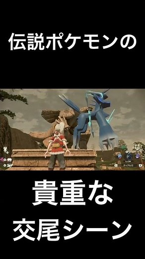 伝説のポケモンの貴重な交尾シーン Pokemon LEGENDS アルセウス