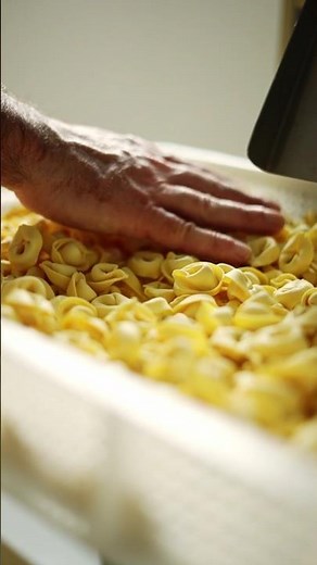 Making Fresh tortellini with pasta machine