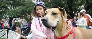 Get involved in 4-H projects this year