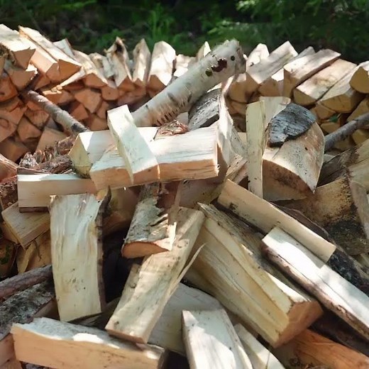 Erik Grankvist Style Bushcraft – Stacking Firewood the Old-Fashioned Way 🪵🔥! ‪@ErikGrankvist‬