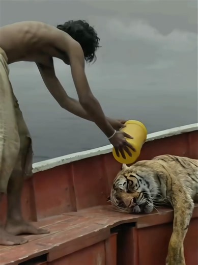 Life of Pi➤A very sad scene💔🥺 #lifeofpi #4k