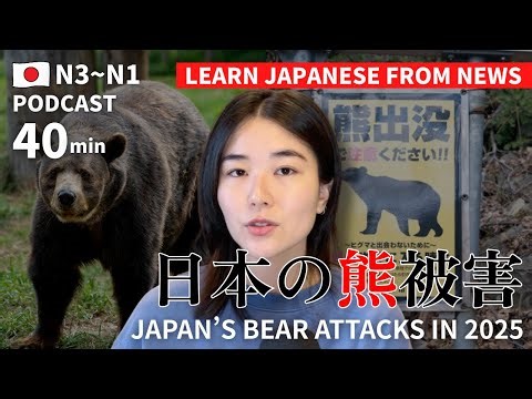 Tourists Beware ⚠️ Why Are Bear Attacks Increasing This Year?｜Japanese Podcast