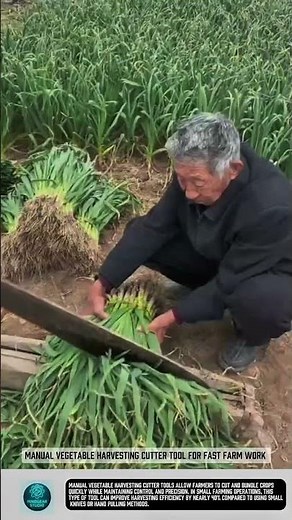 Manual Vegetable Harvesting Cutter Tool for Fast Farm Work #tools