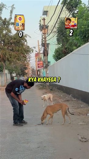 Dog Chooses Between Parle-G vs Pedigree 🐶🔥 | SHOCKING RESULT 😳