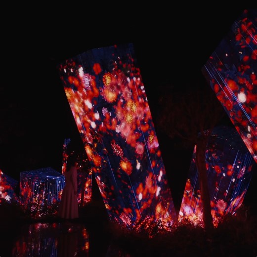 On view at “teamLab Phenomena Abu Dhabi” Saadiyat Cultural District, Abu Dhabi Permanent https://www.teamlab.art/e/phenomena/ ・ “Megaliths in the Roots Garden” These megaliths appear in various locations around the world, their spacetime is interconnected. The roots of the trees growing in the surrounding area continue directly down to the bottom floor. The floor below is an environment where roots are able to grow even in the air. Research has shown that forests connect through a network of myc
