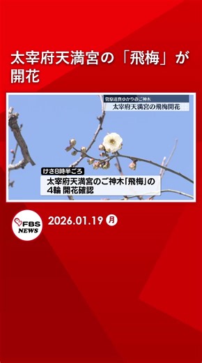 #FBS #福岡放送 #福岡 #佐賀#ニュース #TikTok #TikTokでニュース