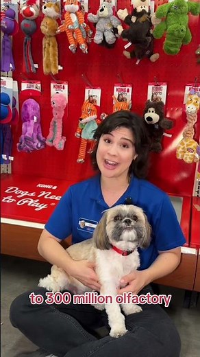 Did you know dogs smell way better than humans? 🐶 Watch to see how much! #PetSmart