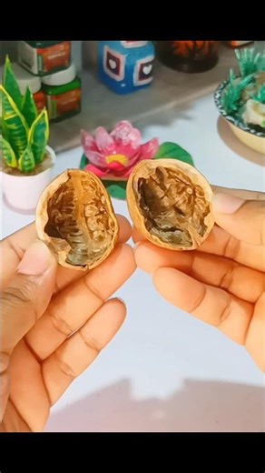walnut shell #diy