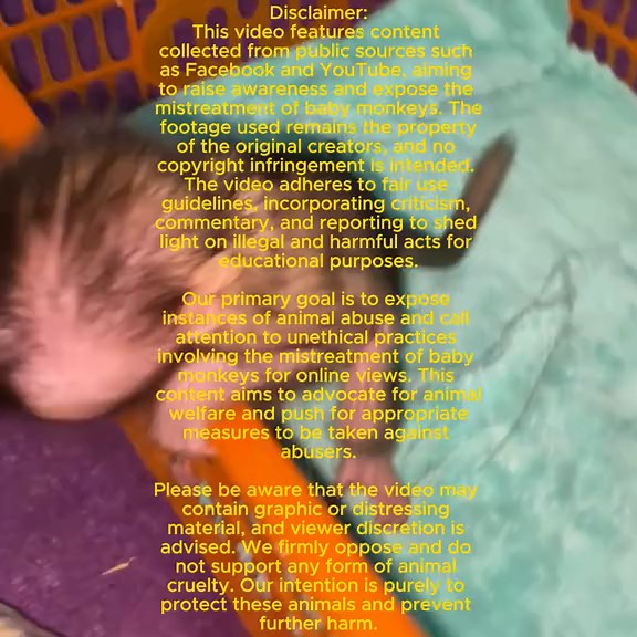 Newborn Monkey's Adorable Milk Bottle Moments