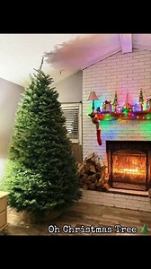 Oh Christmas Tree 🌲 - Oh Christmas Tree Jackson and I picked out our Christmas Tree 🎄 tonight!!!! Sooooooooooo EXCITED - Cannot wait to light it up and decorate this beast!!! It is a Noble Fir tree, first one I have ever bought and I must say I will never get another peasant tree again 😂 #december #christmas #tree #funny #fyp | Kacy Shafer