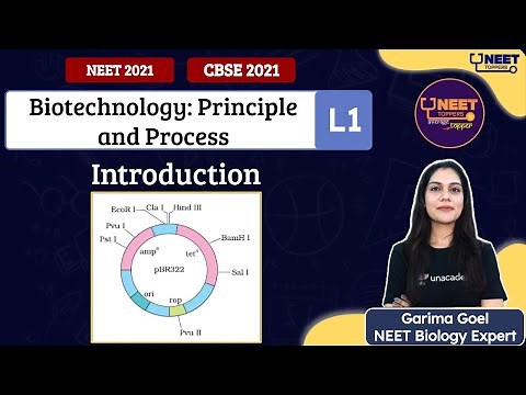 Phoenix 2.0: Biology Most Important Video for NEET 2025 | Unacademy NEET Toppers | Udaan